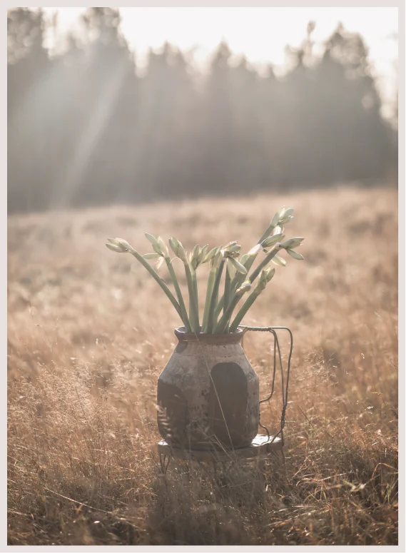 Styling & Set Design – projektbild 50